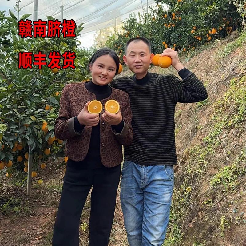 【梅子专属】江西正宗赣南脐橙顺丰上门带箱5/10斤香甜多汁产地发M