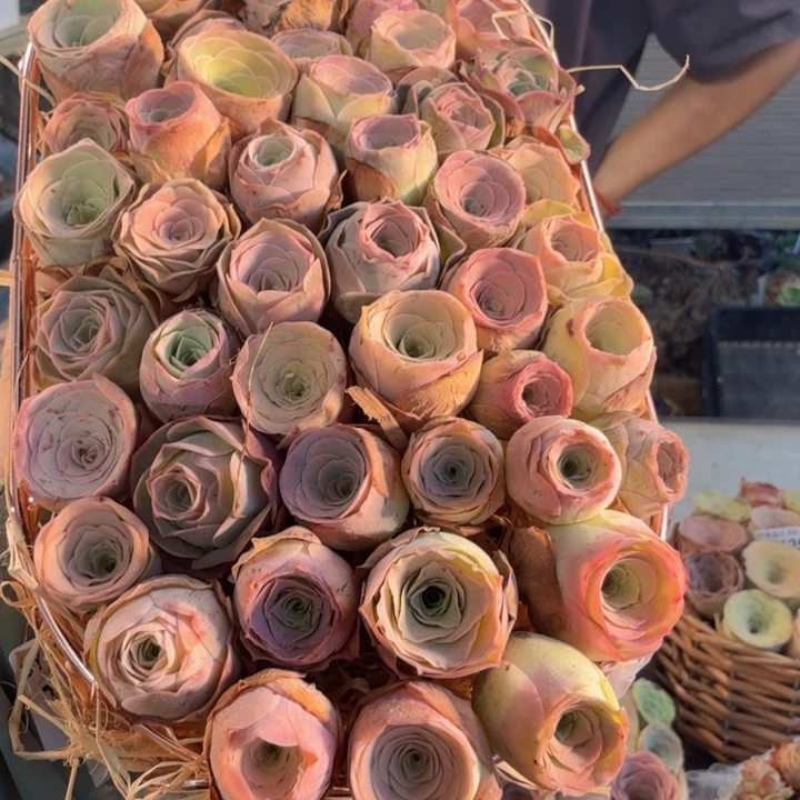 指***锁TT613 铁艺花篮玫瑰组合