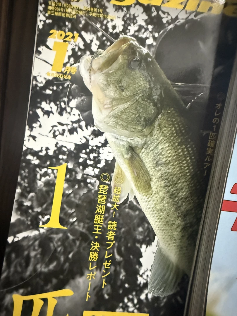 (直播专场)大件 路亚饵 中古饵水面系爬行饵