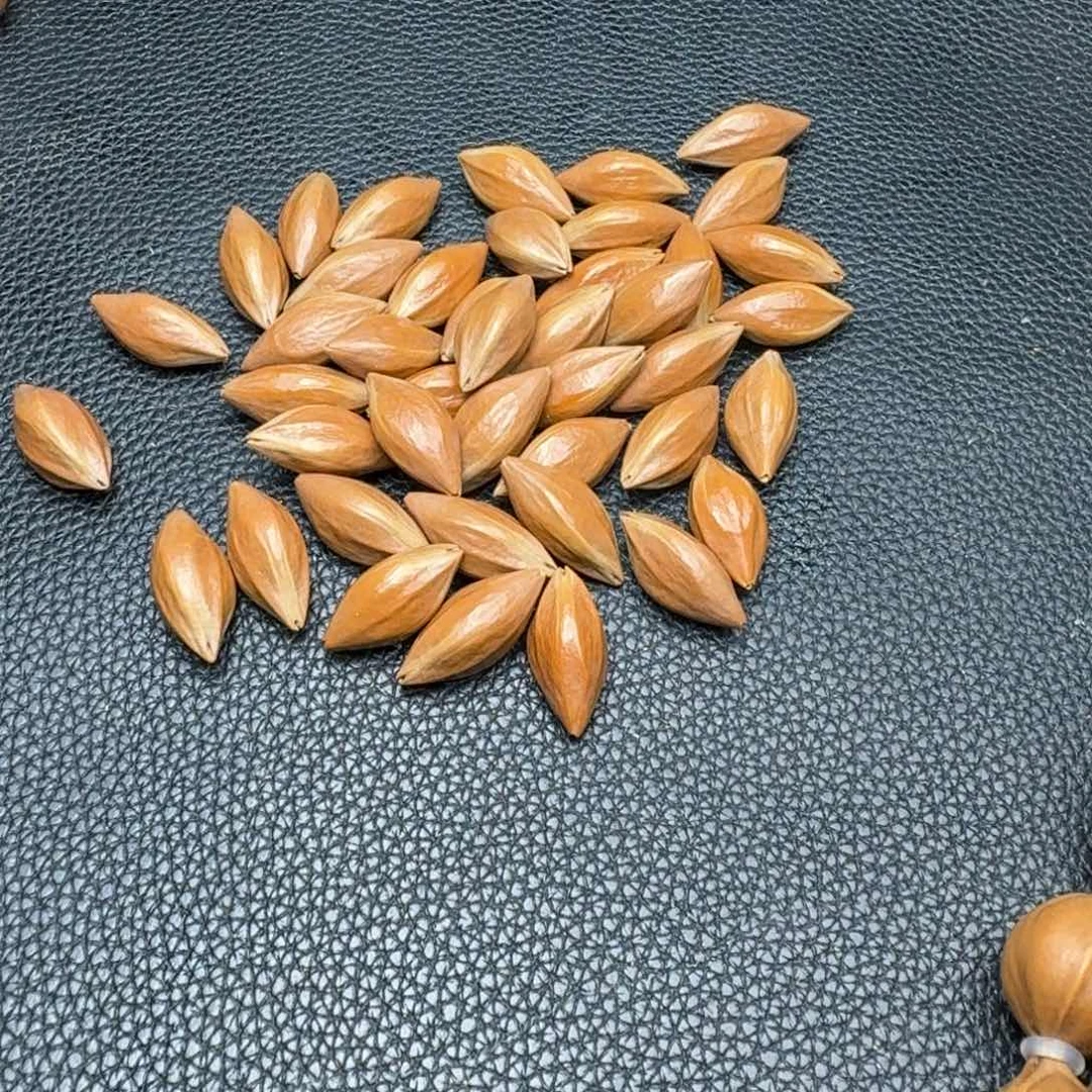 狂***风橄榄核摆件111111111