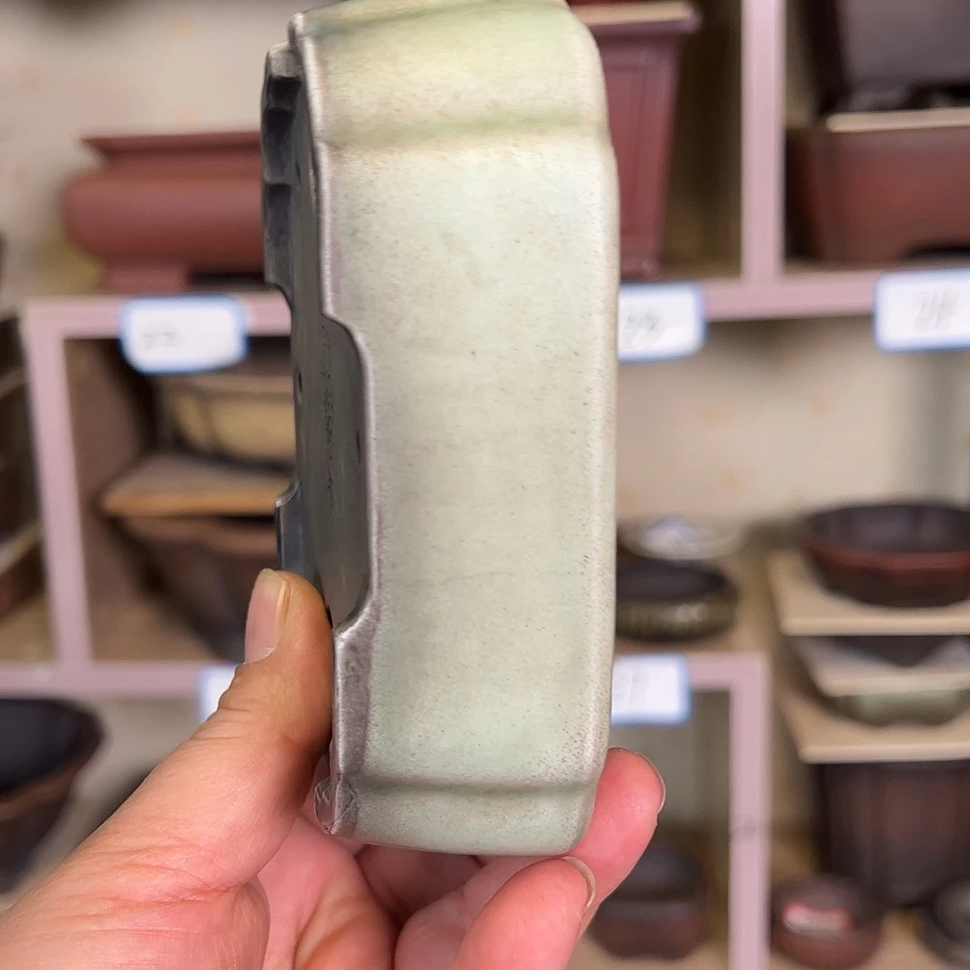 紫砂花盆逺*288552366699555