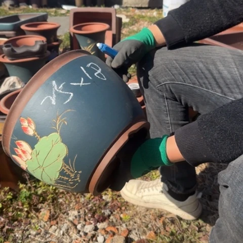 紫砂花盆紫砂花盆盆景盆栽