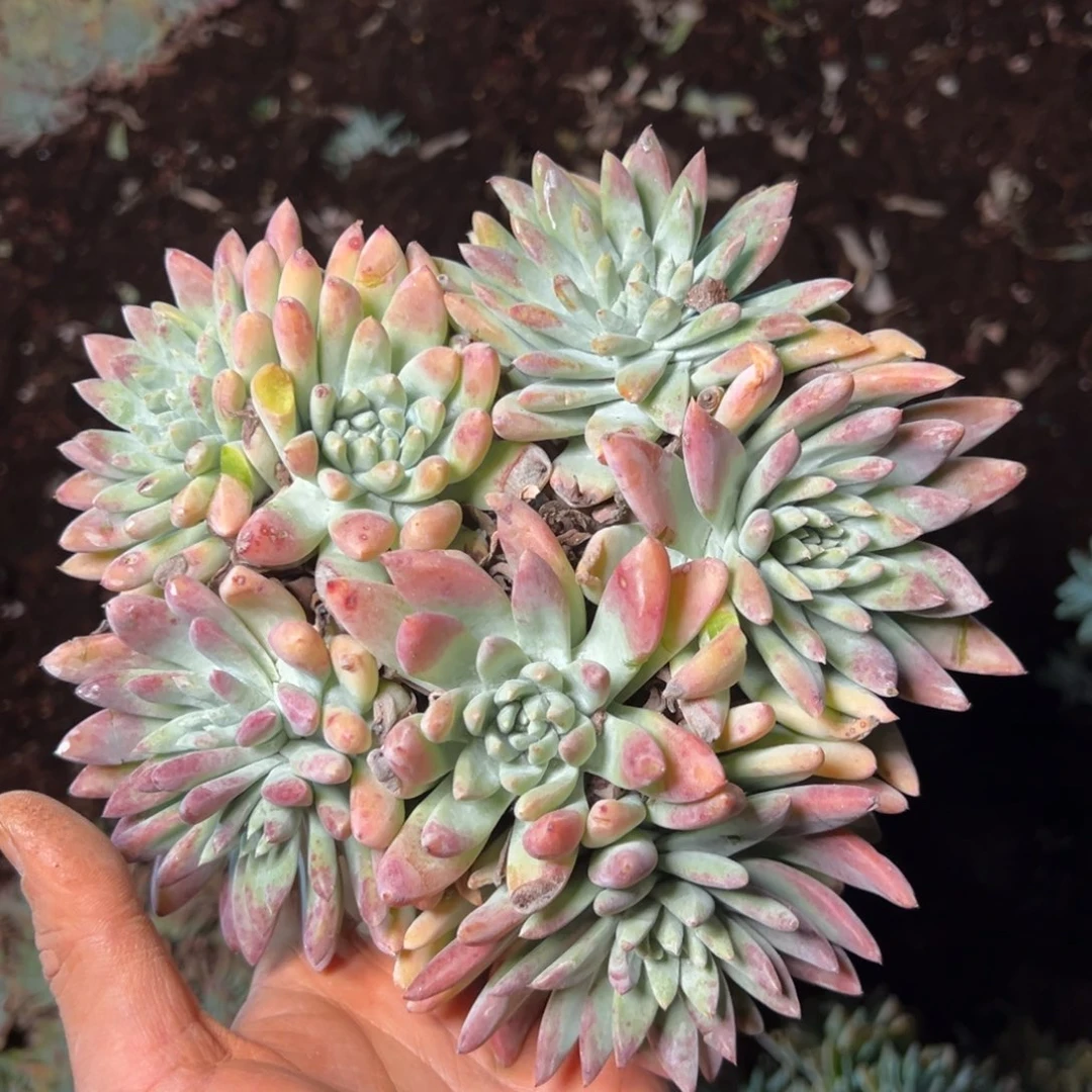 3069哈哈哈哈哈哈哈哈