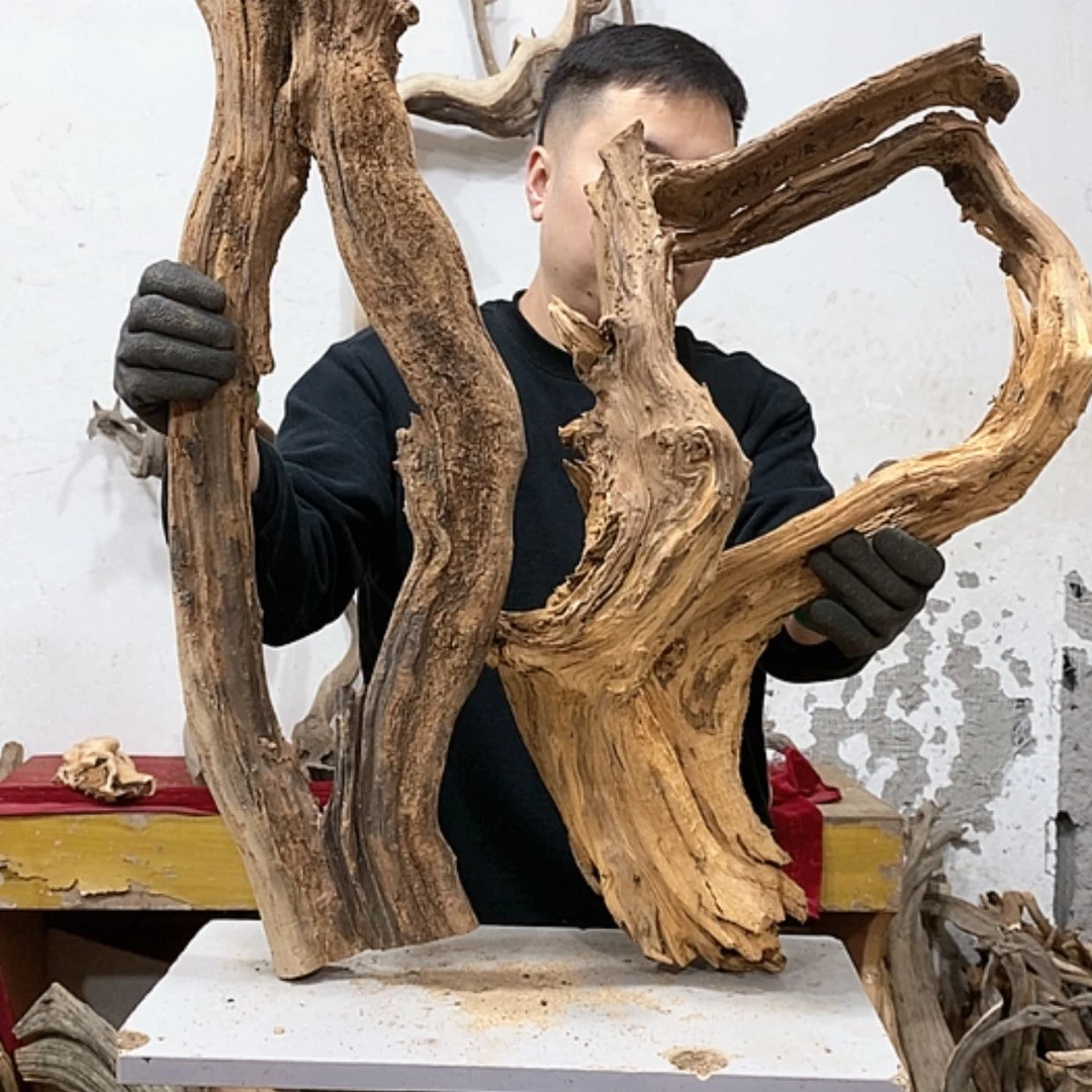 【闪购商品】柏木用****8我们都是好孩子