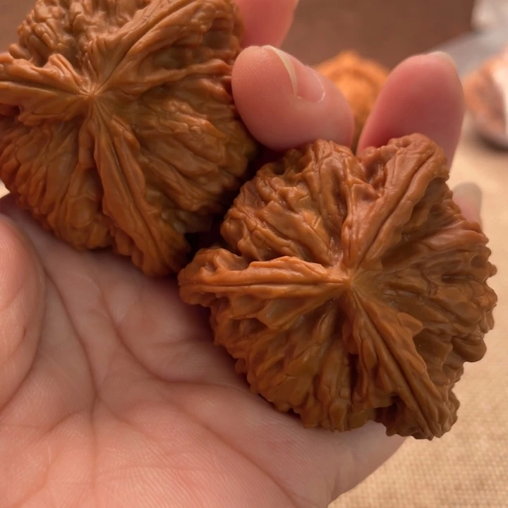 明***好核桃白狮子45核桃
