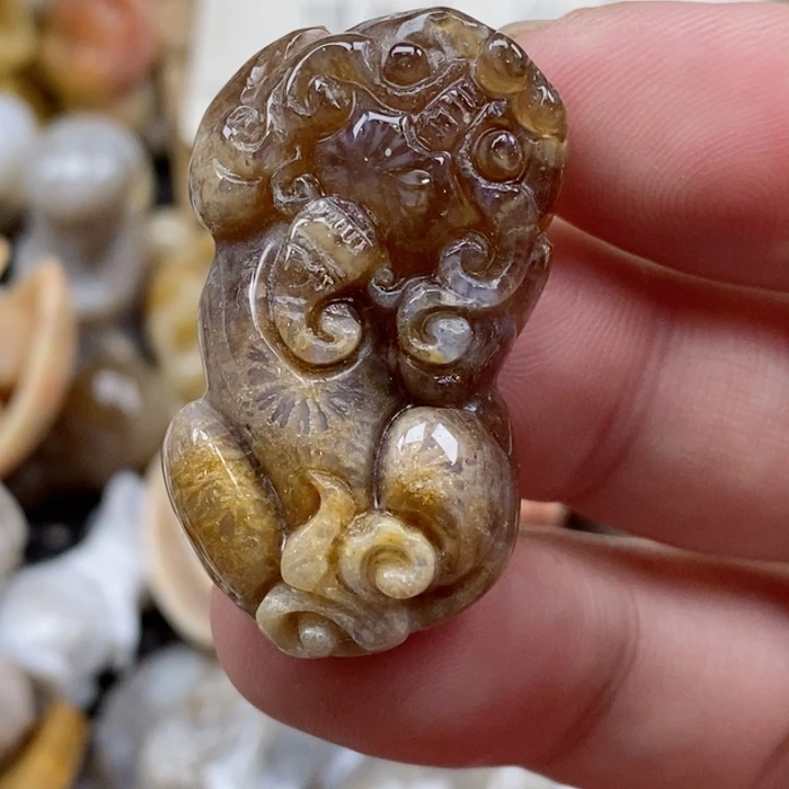 颈饰未镶嵌硅化珊瑚（珊瑚玉）