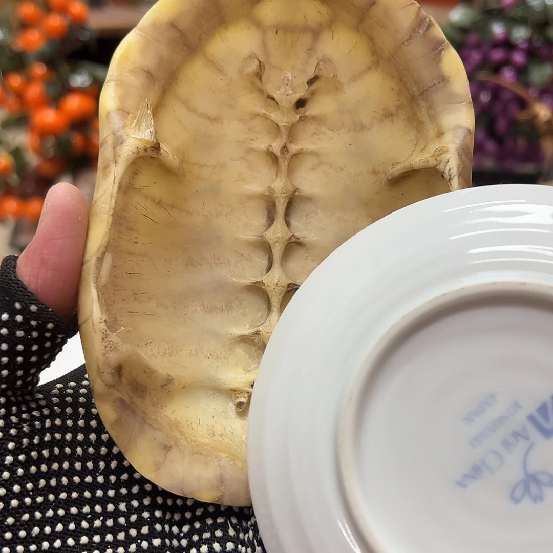 瓷片瓷器瓷器瓷器