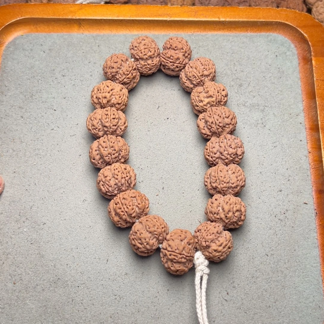 菩提4号金刚菩提深沟梅花21