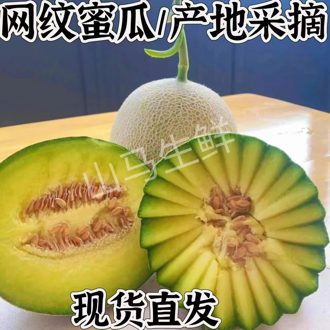 山东头茬网纹蜜瓜甜瓜香瓜小孩孕妇新鲜采摘应季水果