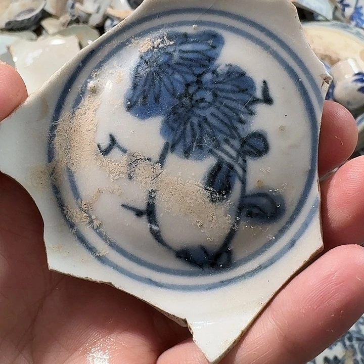 瓷片瓷片标本,顺丰包邮
