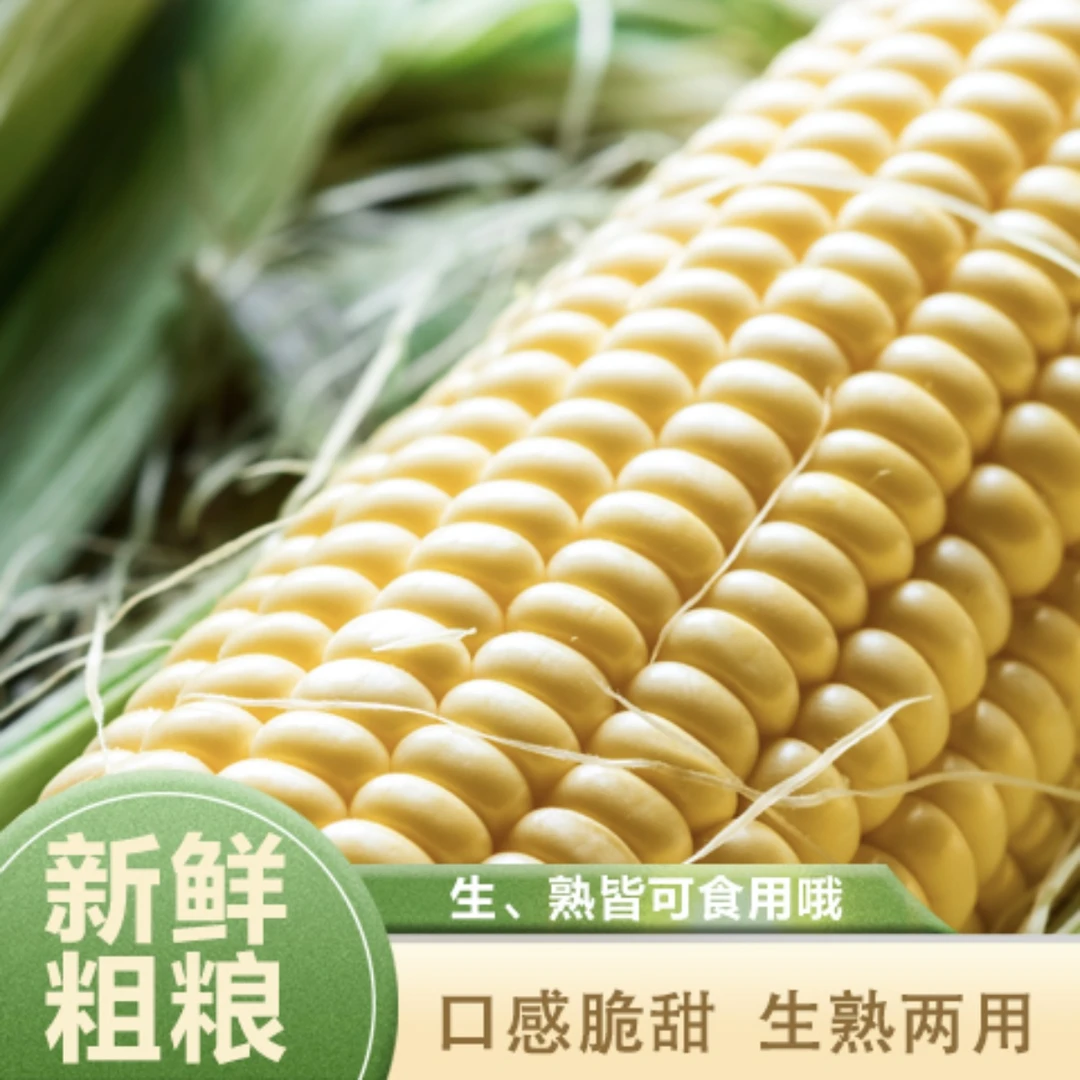 本地生态种植水果玉米4.5斤