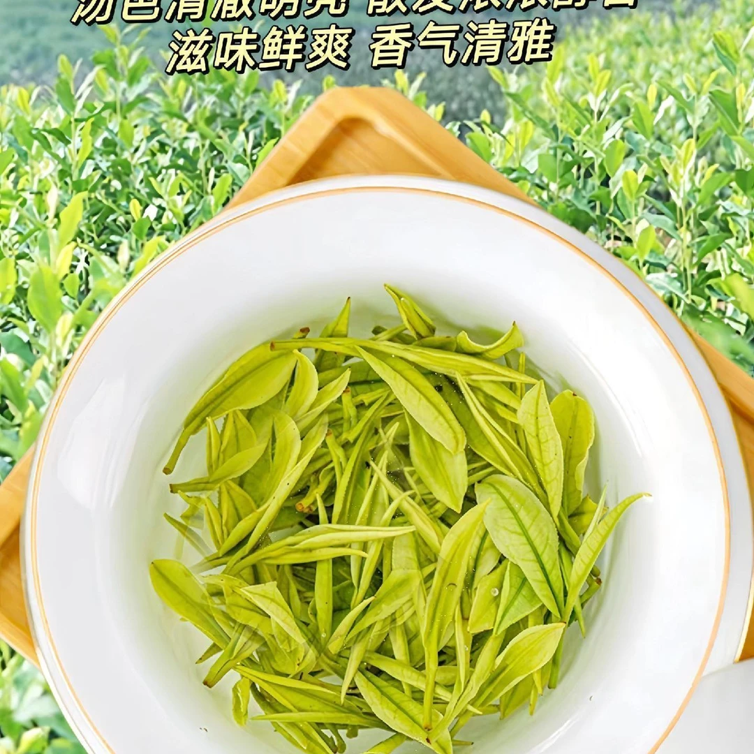 安吉白茶口感鲜爽回甘兰花香十足正宗原产地高山