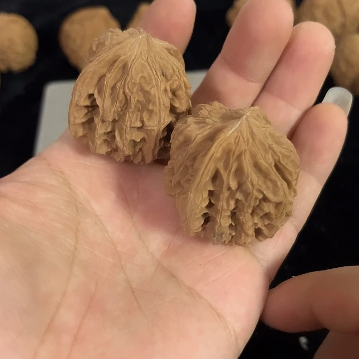 文玩核桃把件37左右野生钢炮粗筋，编号013