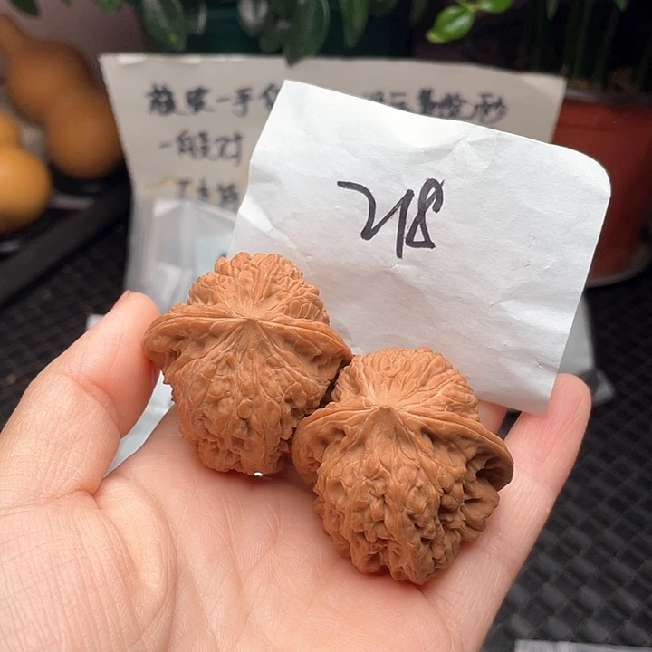 42尺寸白茬无修凹底