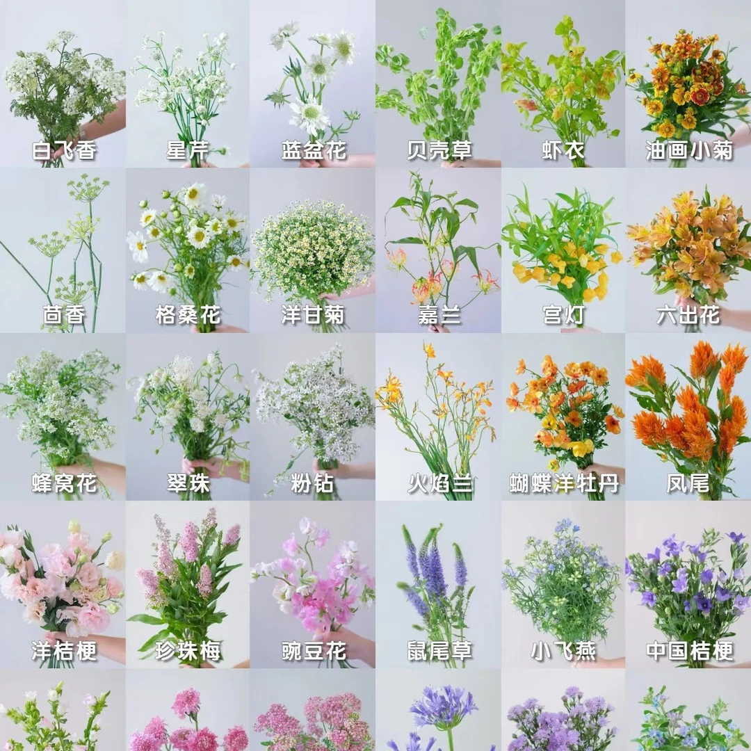 小清新碎花配花主花草花批发