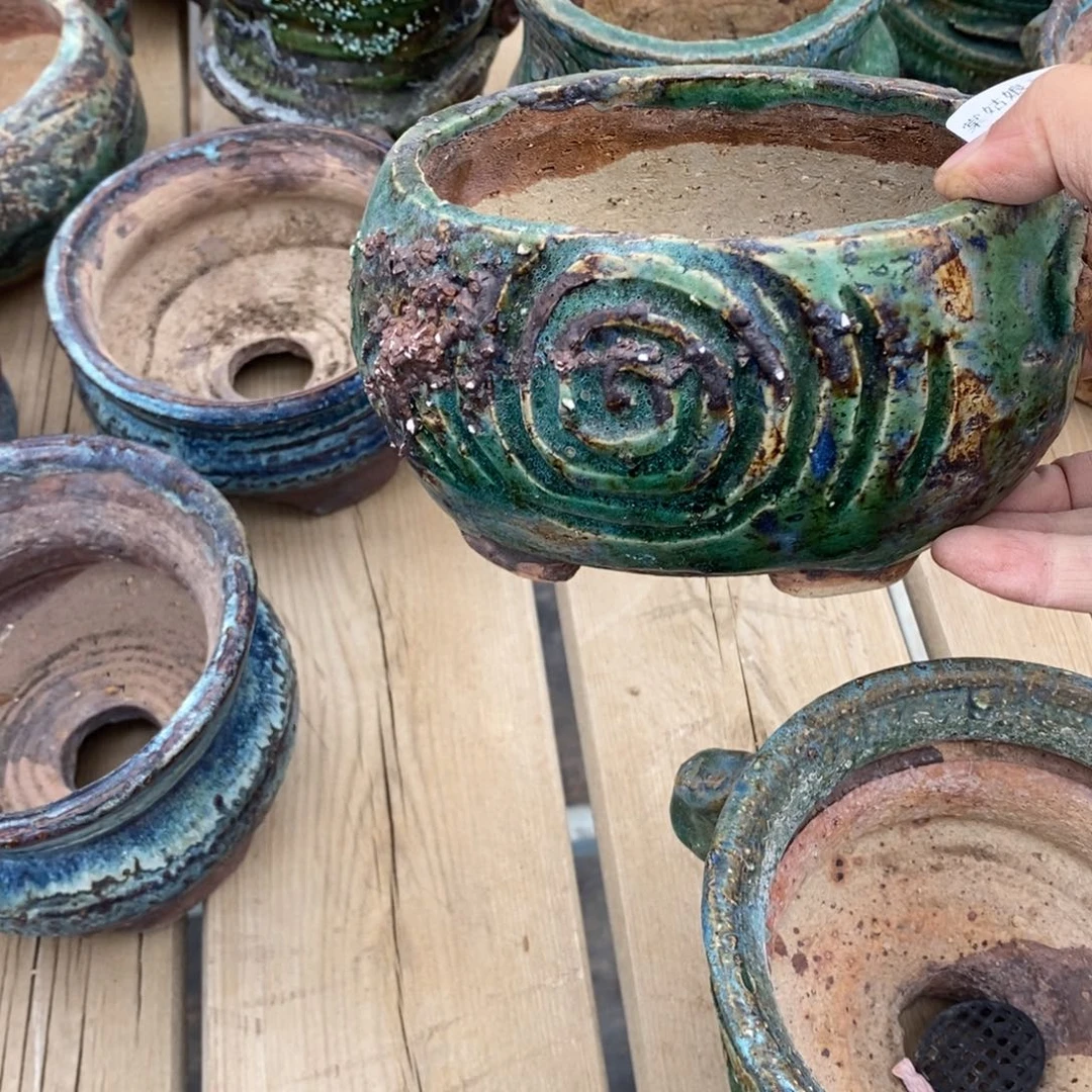 红陶秋*70号多肉盆一个呀