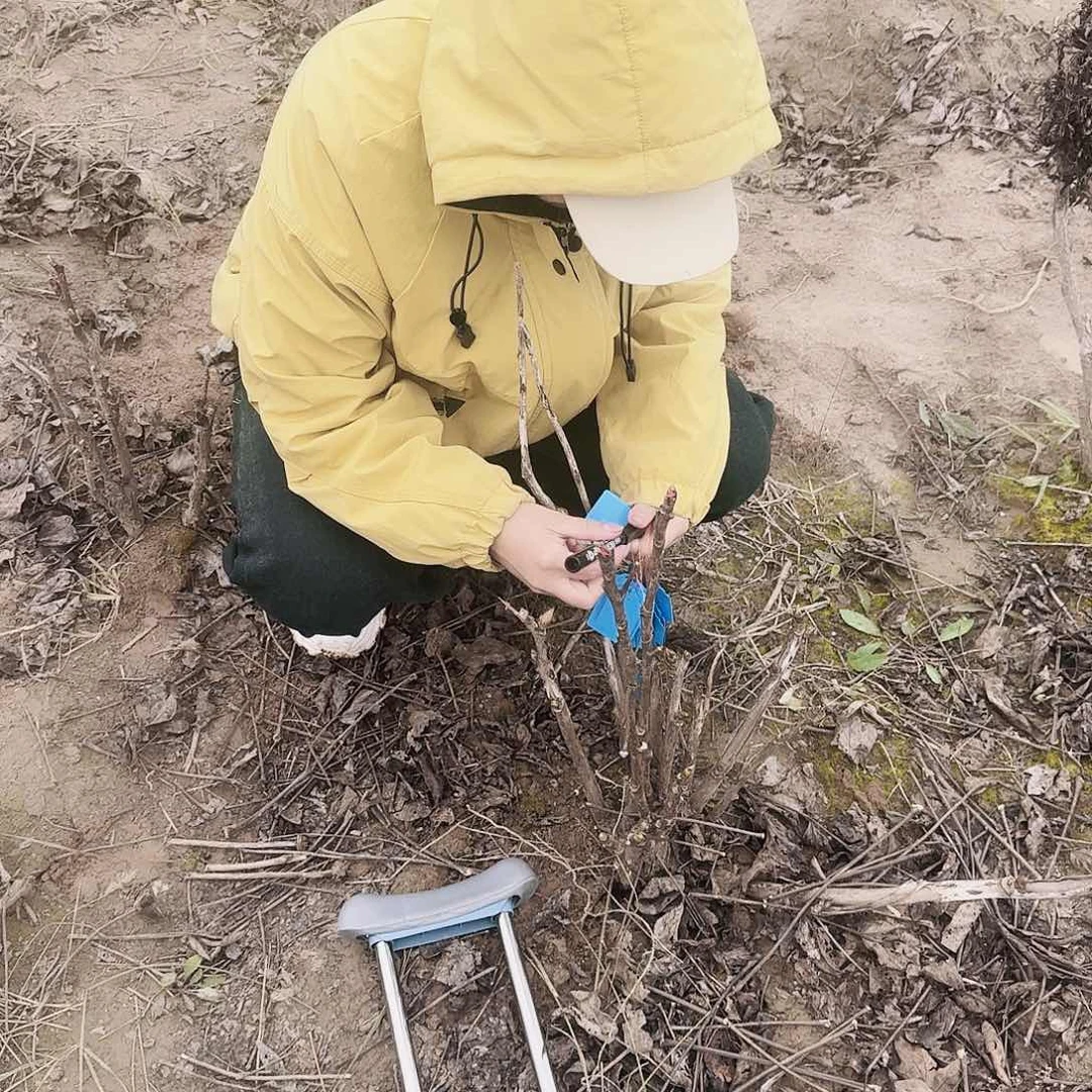 完全开放1111111111111111