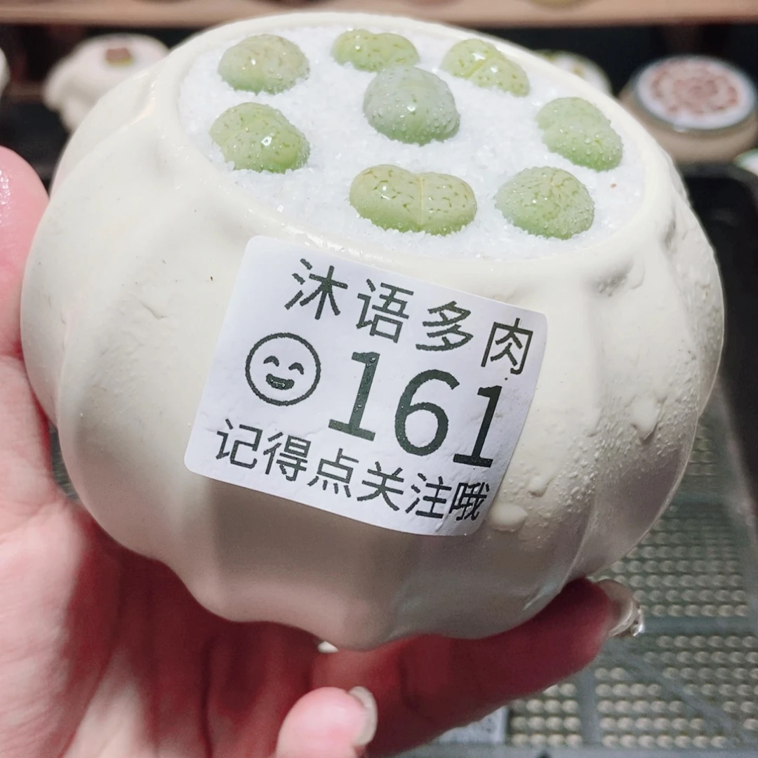 一物一拍 所见即所得 161