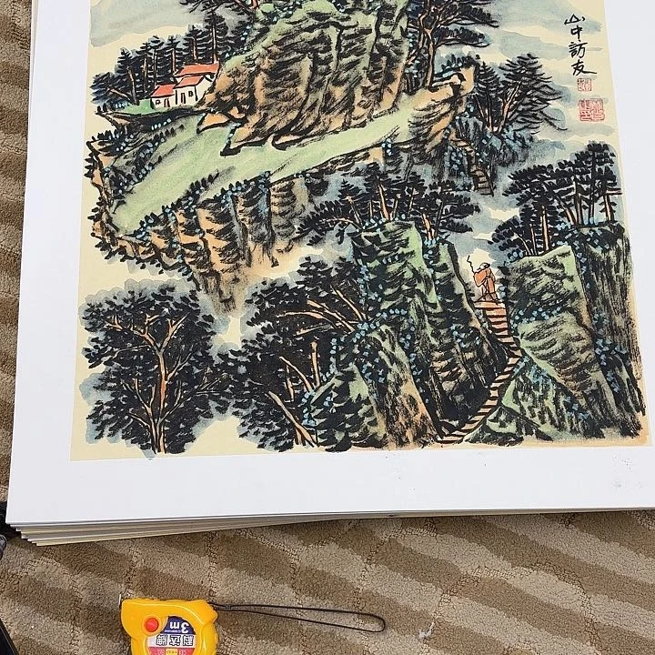 国画花鸟的翅膀和翅膀都很漂亮的