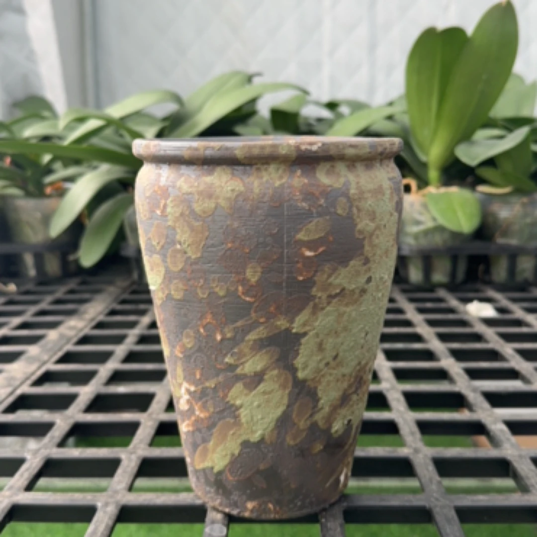 侘寂风限量手工陶盆蝴蝶兰兰花花盆