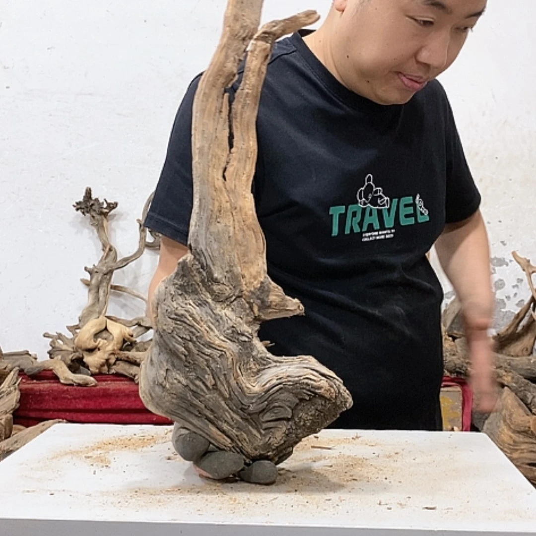 【闪购商品】柏木山****司我们都是好孩子