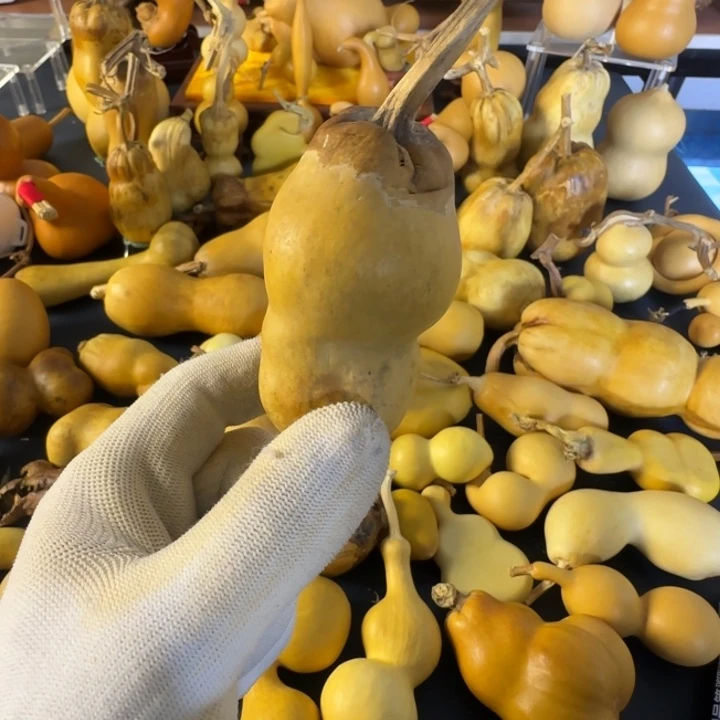 虎***儿绒面是公开课v出j科技创新成就看女方c