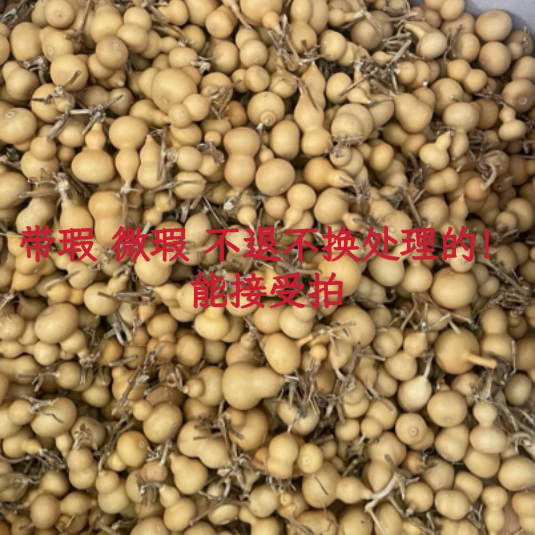 天然小葫芦文玩可盘玩 尾货处理（不保龙头）不退换