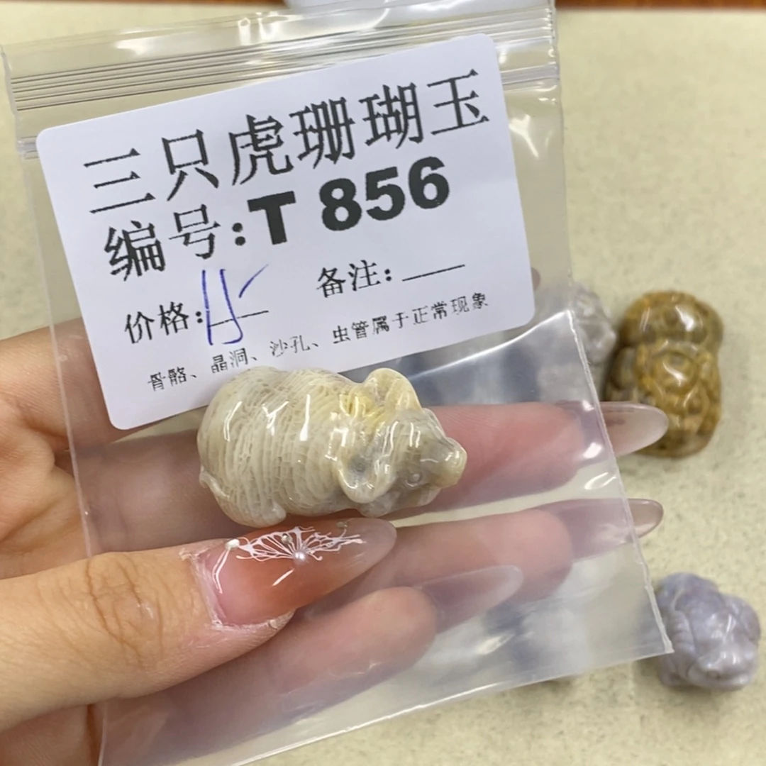 硅化珊瑚（珊瑚玉）1足银镀金镶嵌木***?