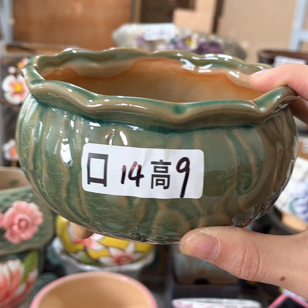 【闪购商品】红陶福利