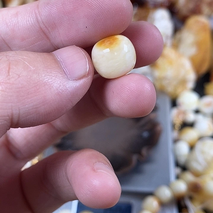 裸石琥珀未镶嵌我