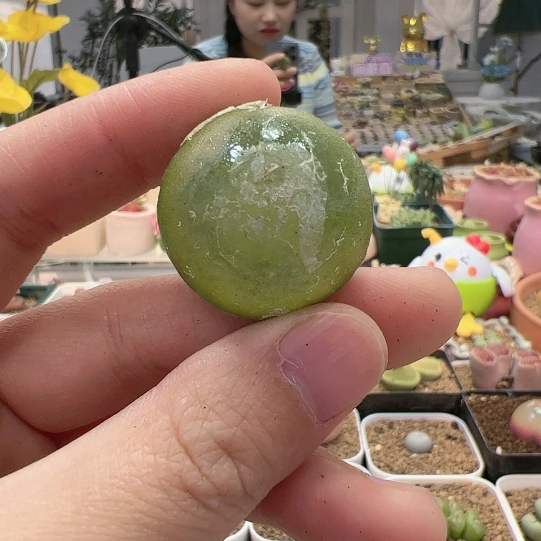 【闪购商品】310 开播福利