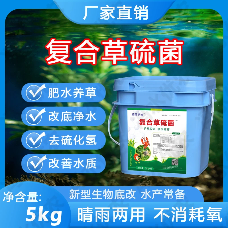 粪硫菌调水改底净草养草生根分解黑泥臭泥氨氮亚盐硫化氢压蓝藻