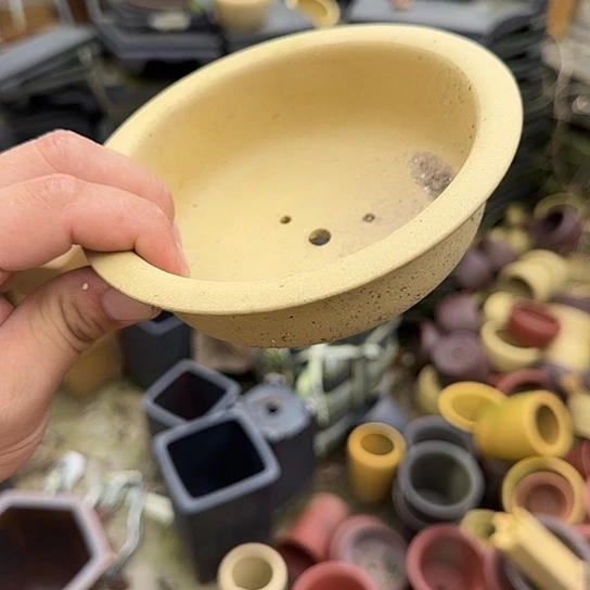 我不在这里吃饭你吃好没了啊