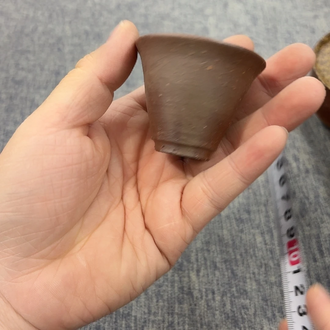 非常美丽漂亮的物品