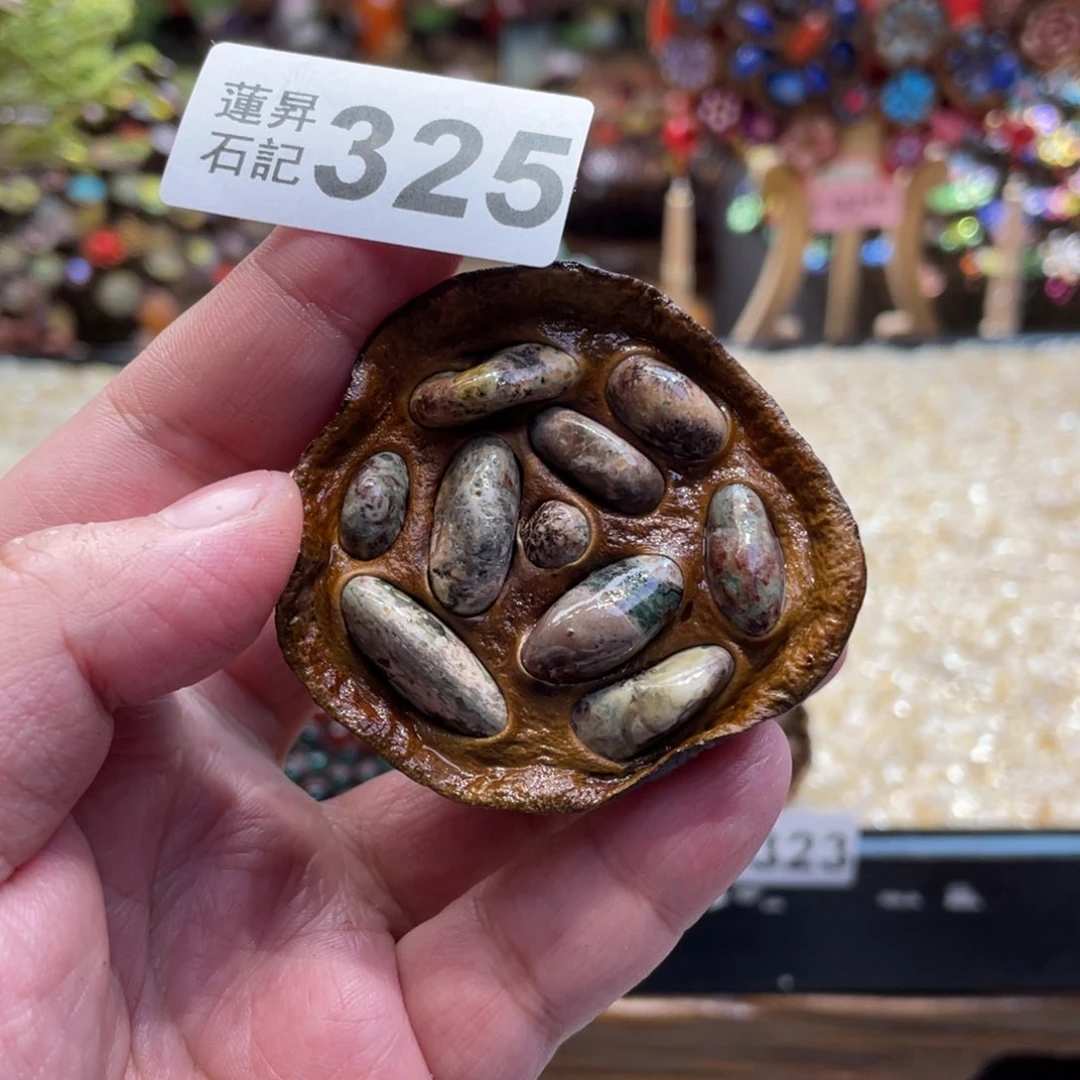 核桃木/黑胡桃（胡桃木）325