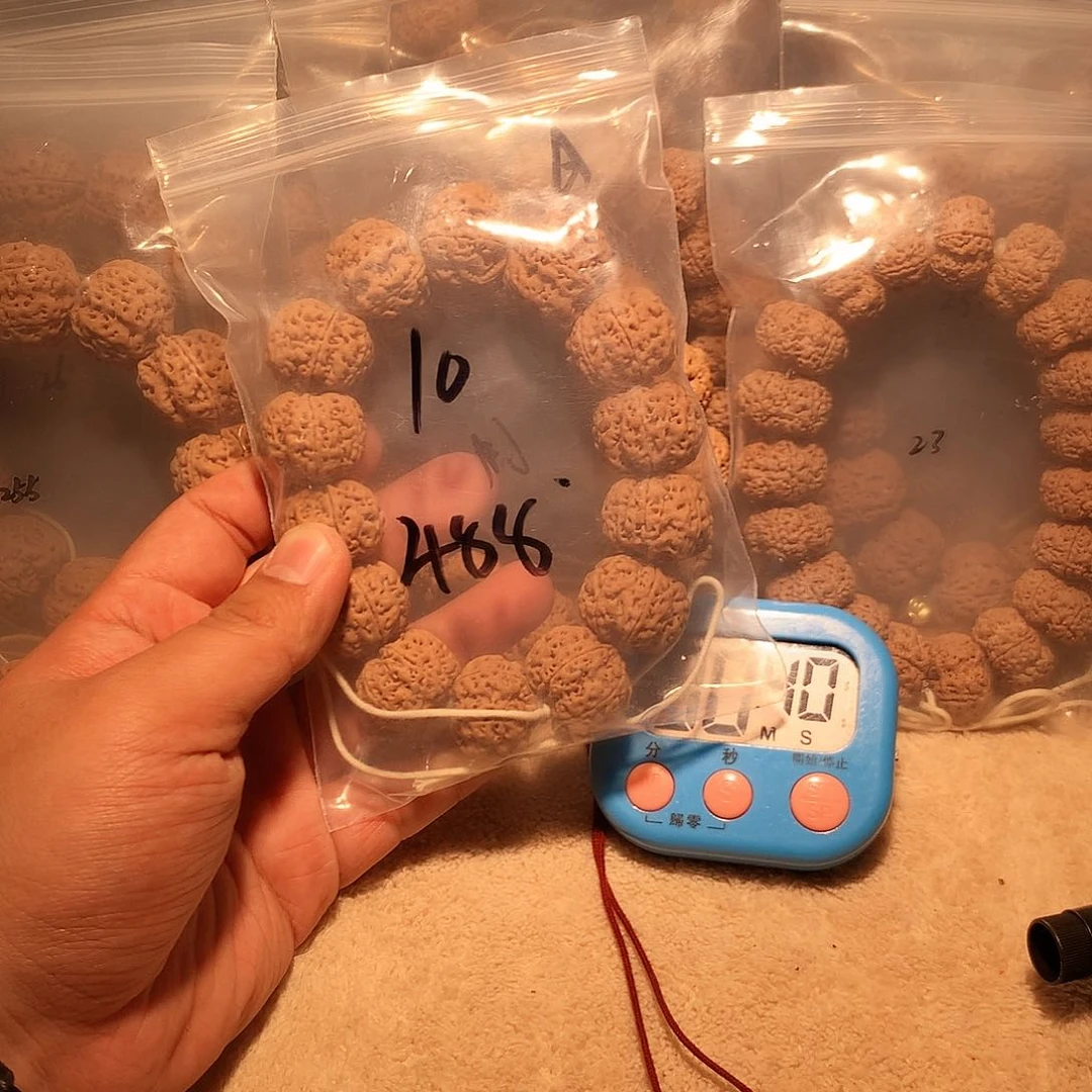 金刚菩提手串B*10。      