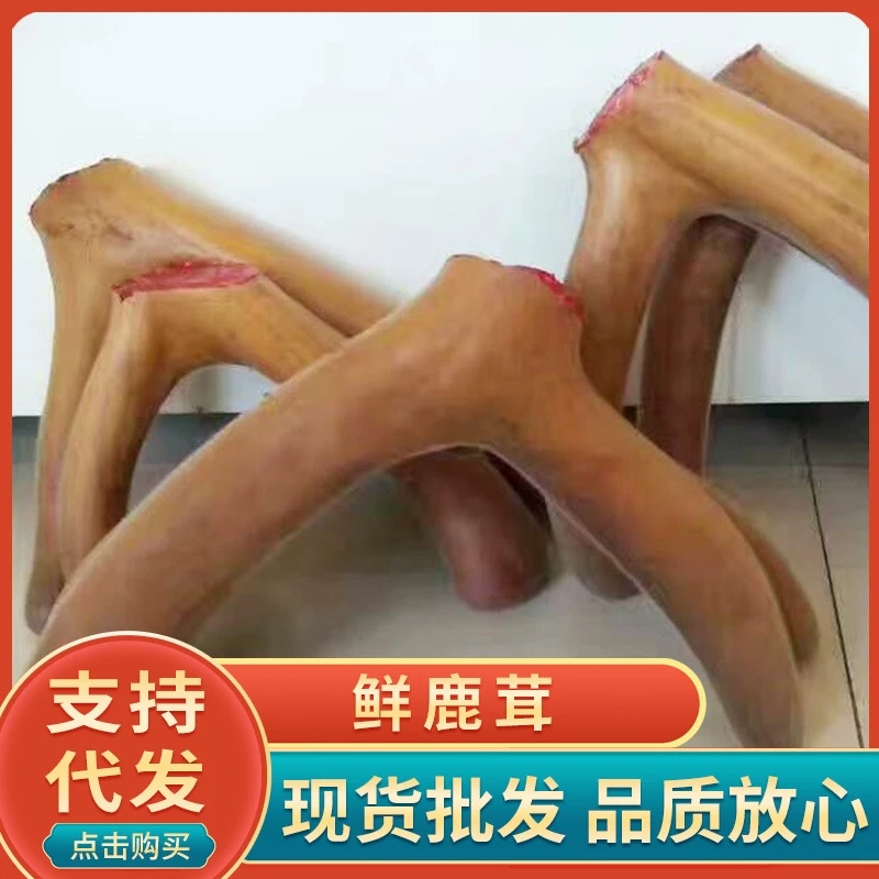 吉林特产批发鹿场新鲜整支可泡酒专用煲汤直播间改价自选链接