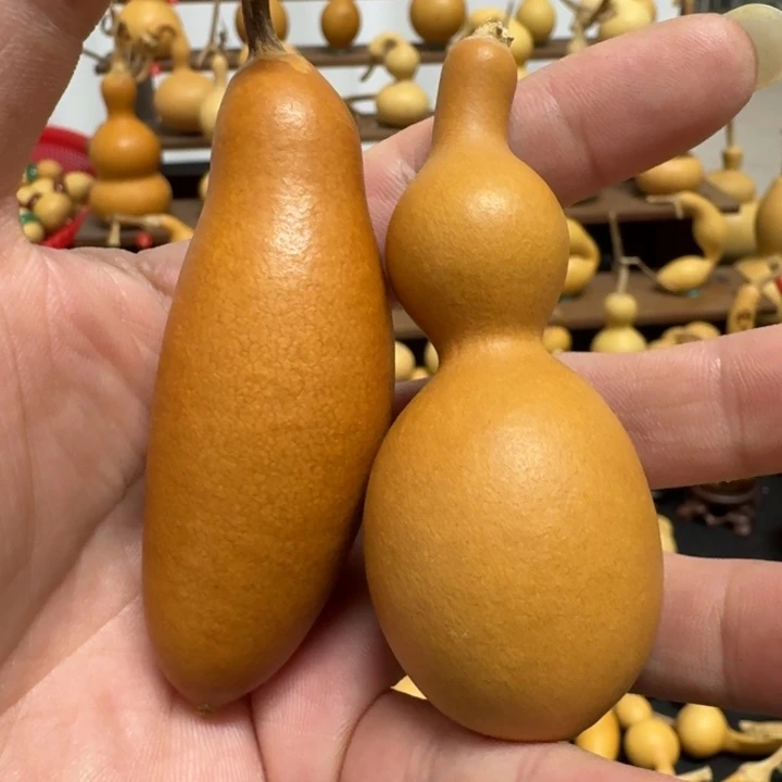 精品系列葫芦蚂蚁