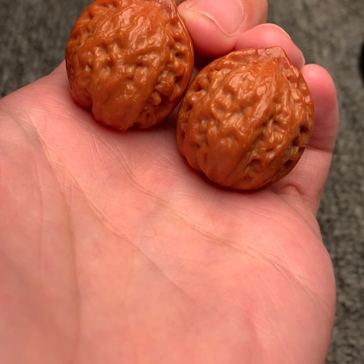 文玩核桃吊坠粗筋。