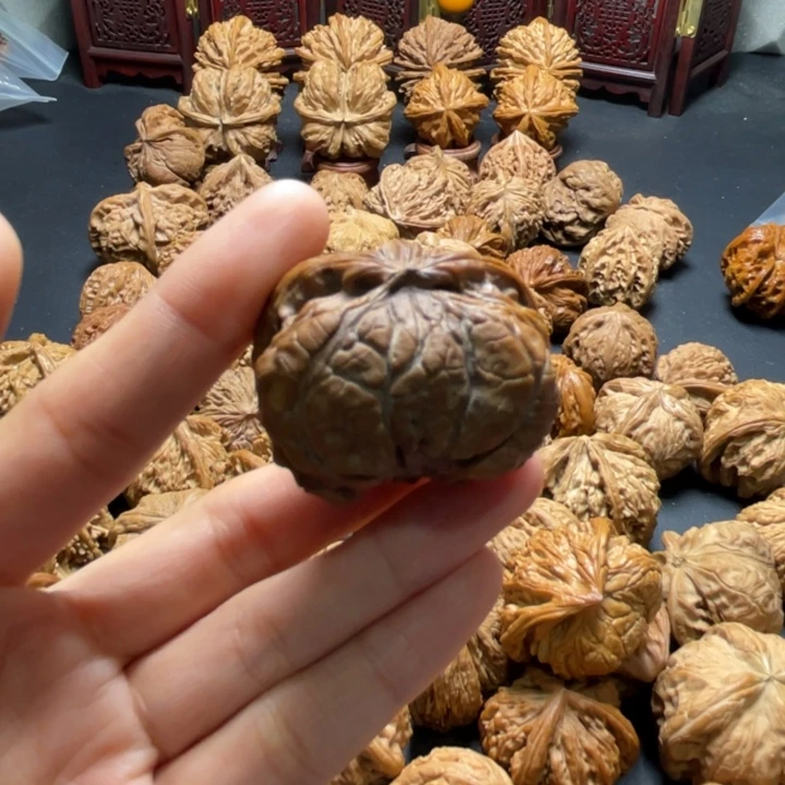 宫灯蛇头39尺寸单只核桃哈哈哈哈哈哈哈