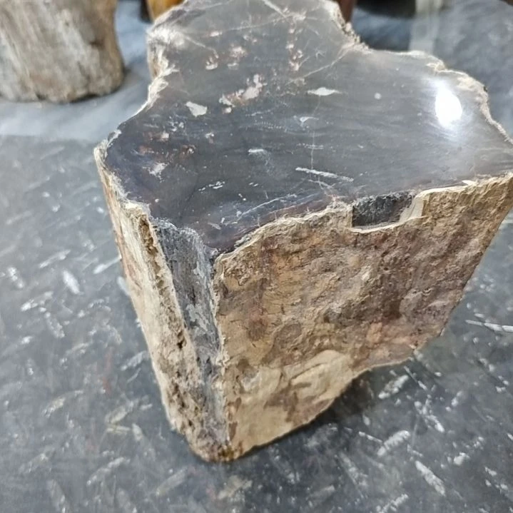 会***y石材新疆奇台硅化木 木化石，树化石，树化玉。