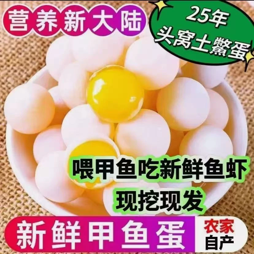 【顺丰快递】100送20个新鲜甲鱼蛋水鱼蛋自宝辅食+送卤料包+送食谱