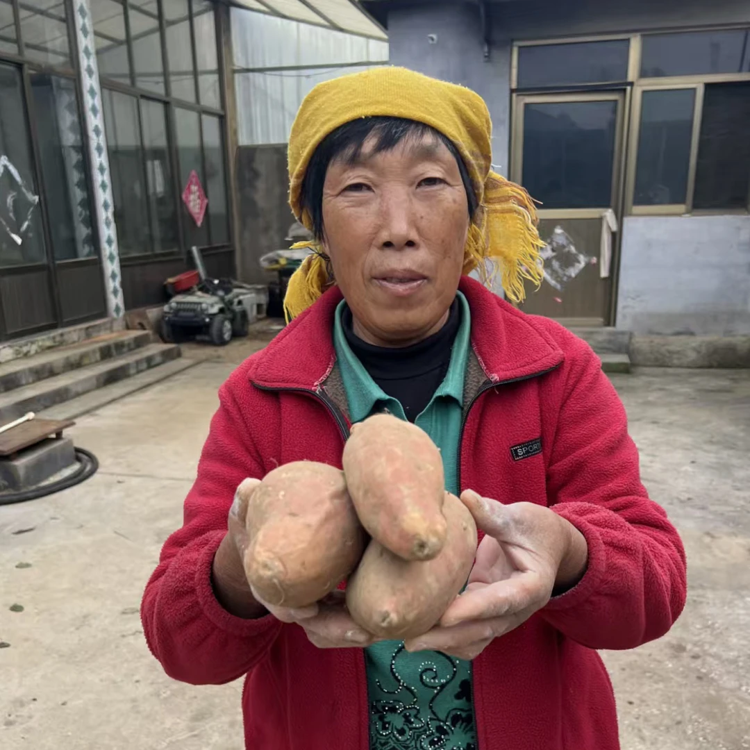 [小芳姐一家专属]烟薯25号现挖现发新鲜蜜薯蒸煮烤皆可香甜软糯