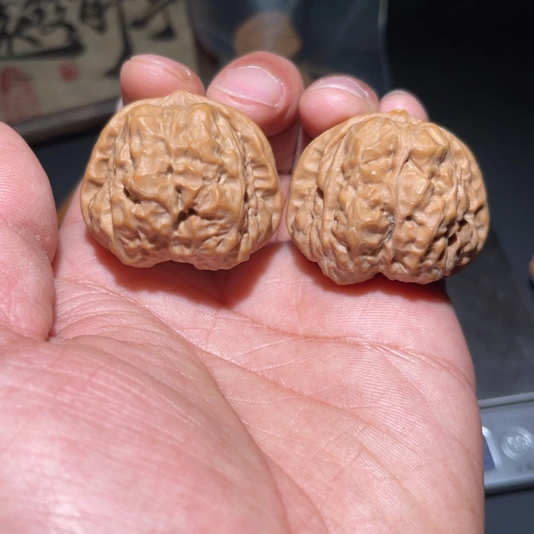 文玩核桃把件40蛤蟆