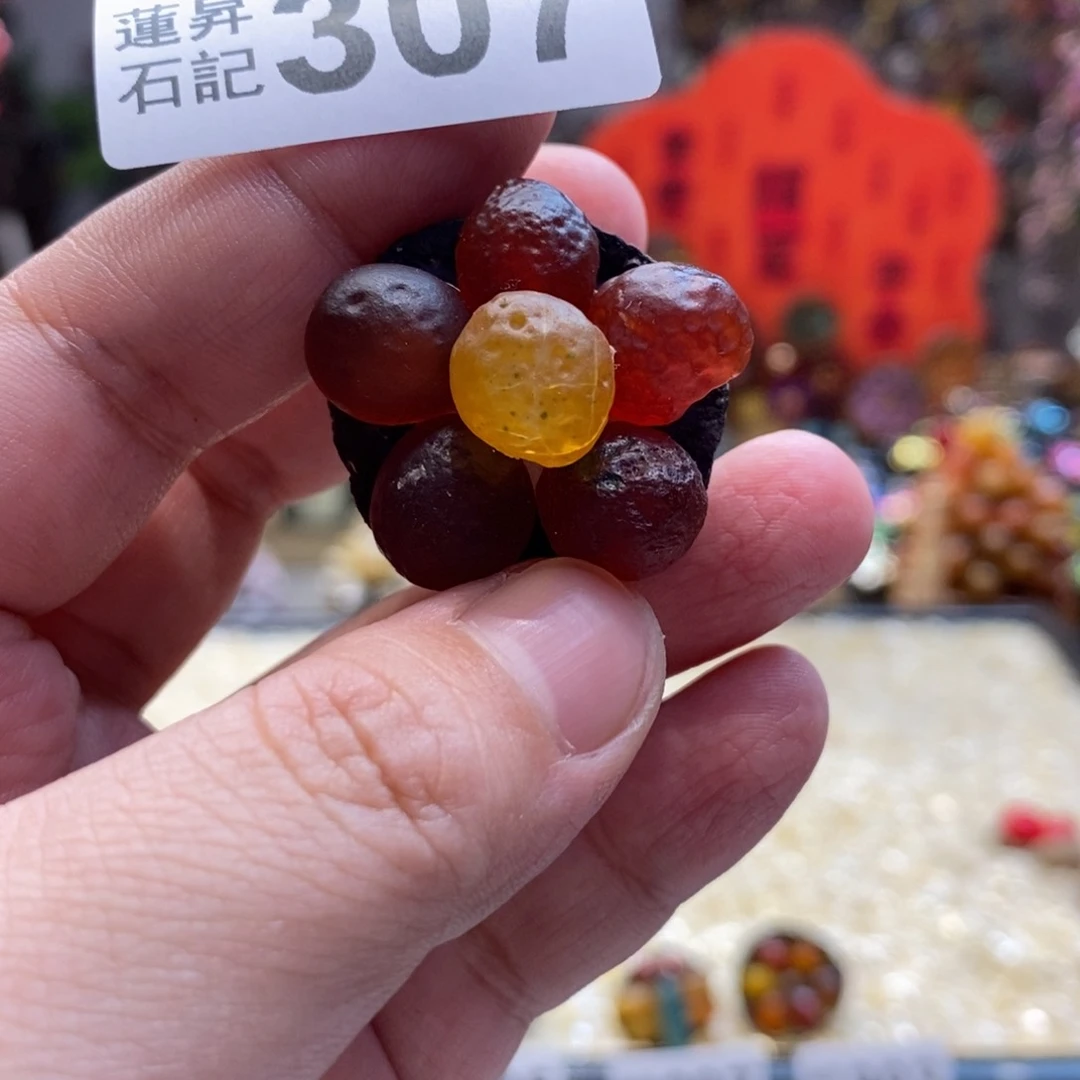 核桃木/黑胡桃（胡桃木）307