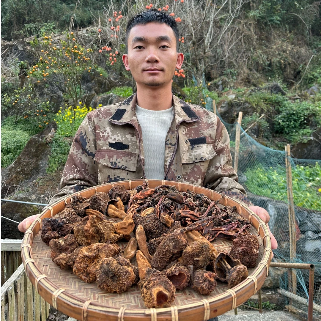 (达峰)南疆雷达峰【金阳回春干货】云南双雄可以搭配枸杞