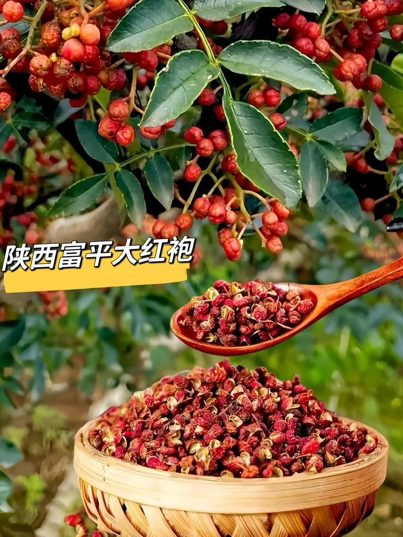 陕西大红袍花椒特香特麻新鲜红花椒红皮花椒