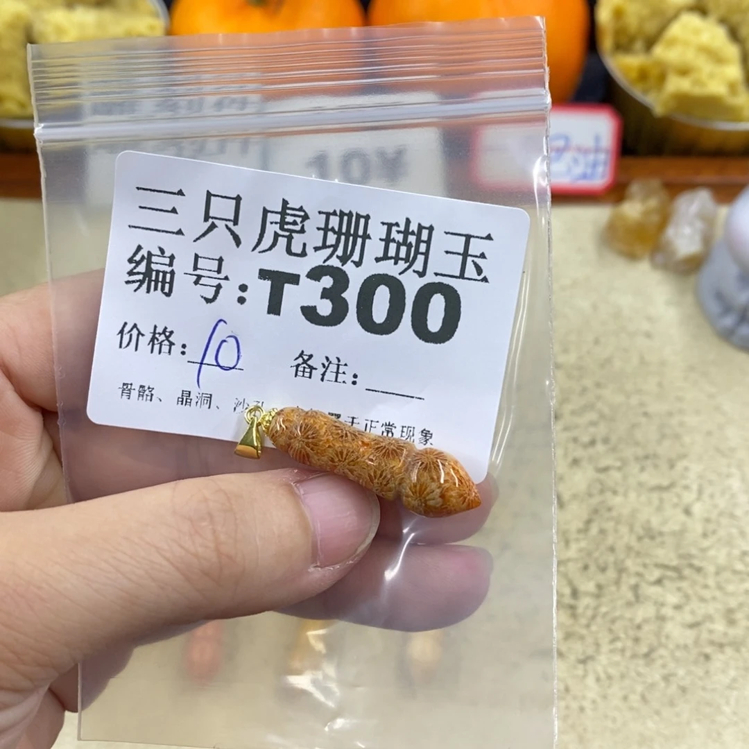 硅化珊瑚（珊瑚玉）1未镶嵌芯*