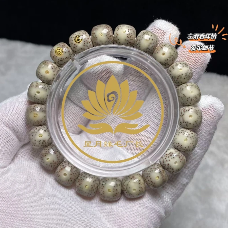PH178原生态星月菩提黄金瞳满天星11*10mm文玩好物【双金标】