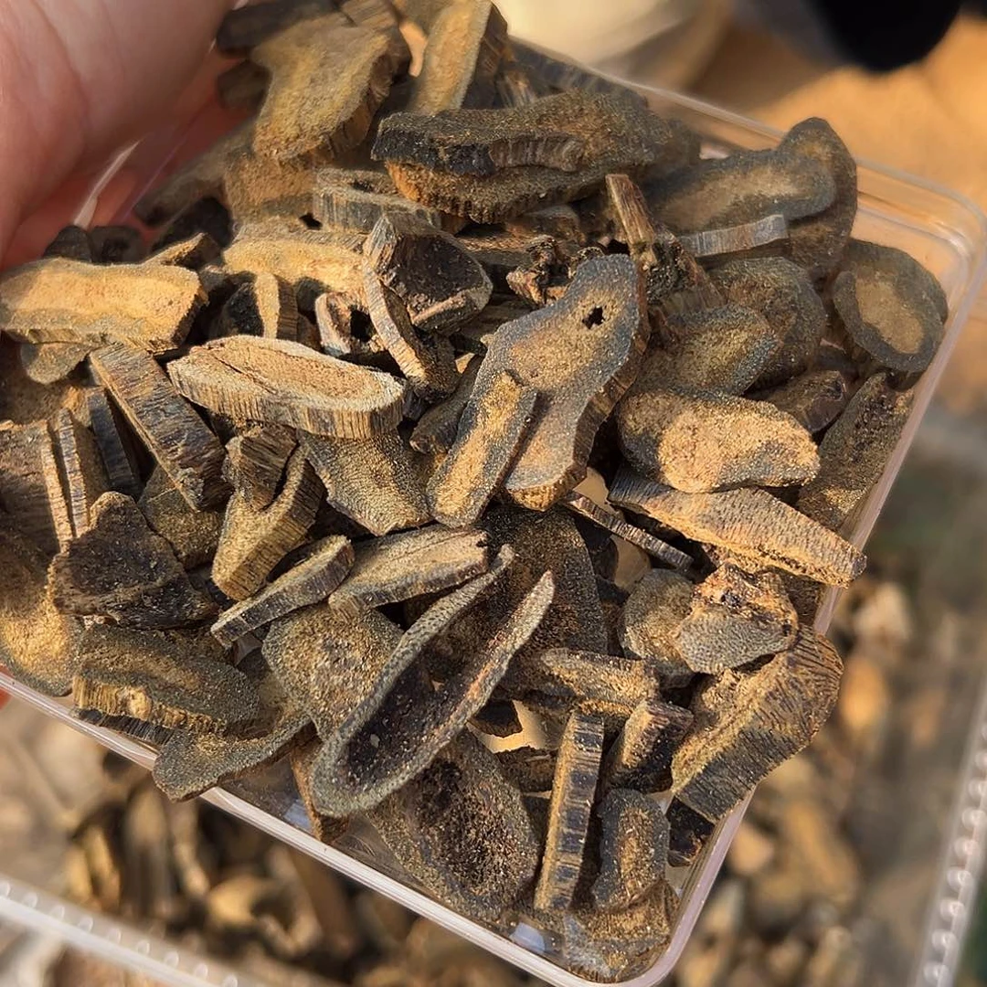 沉香摆件虫漏碎料30克多样性发一份